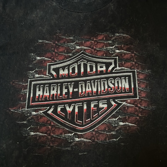 HARLEY DAVIDSON CAPE TOWN SOUTH AFRICA MEN'S XL T-SHIRT BIG FIVE RARE VINTAGE - Picture 4 of 9